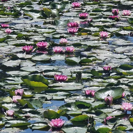 Kala Thermal Wellness Διαμέρισμα