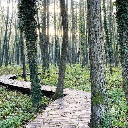 Kala Thermal Wellness Διαμέρισμα Zalakaros