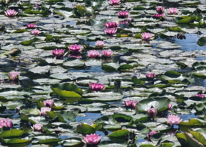 Kala Thermal Wellness Appartement