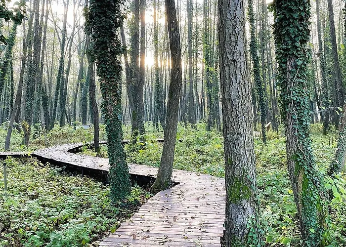 Kala Thermal Wellness Appartement Zalakaros